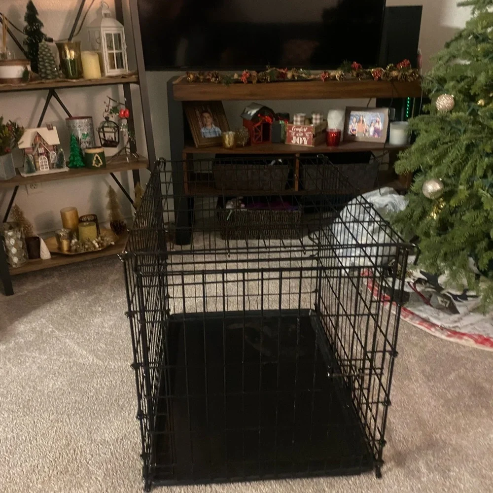 Kennel